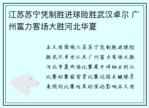 江苏苏宁凭制胜进球险胜武汉卓尔 广州富力客场大胜河北华夏