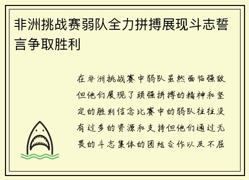 非洲挑战赛弱队全力拼搏展现斗志誓言争取胜利